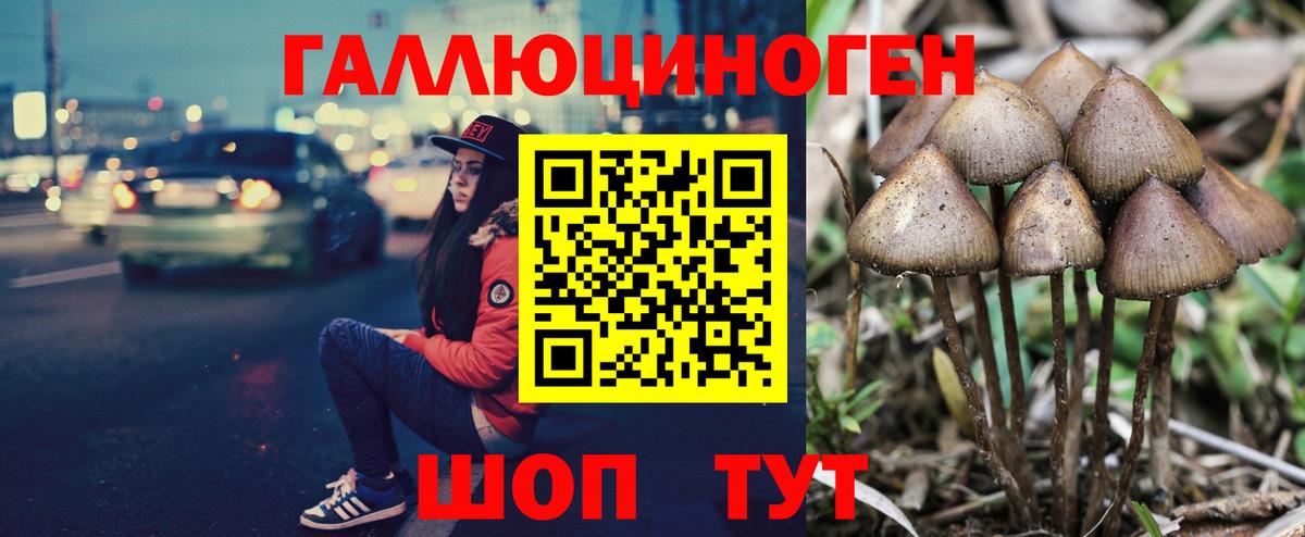 Псилоцибиновые грибы мицелий Донской