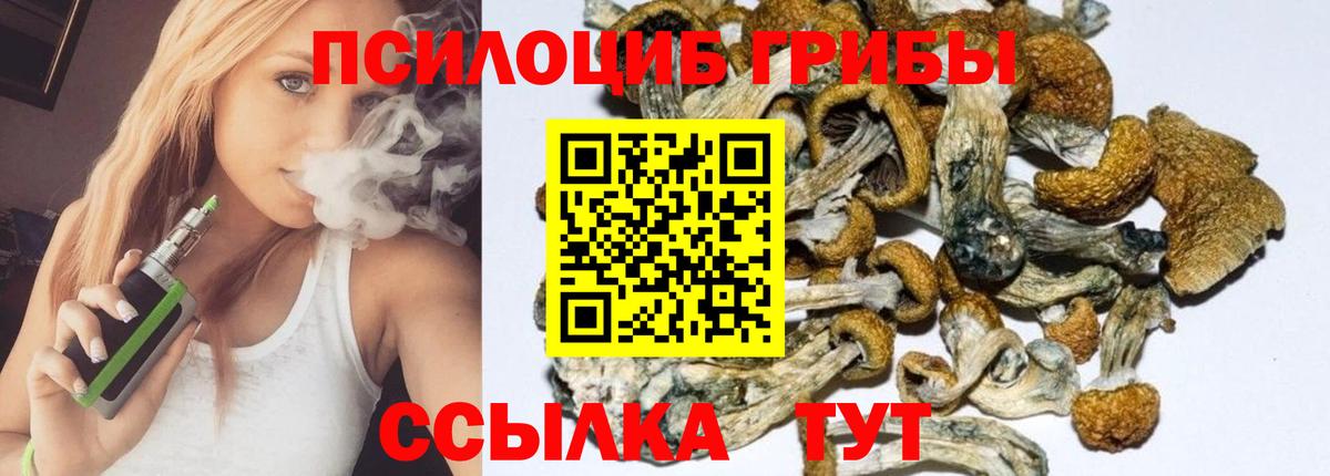 Донской  магазин продажи наркотиков  Вход с VPN  Галлюциногенные грибы Magic Shrooms  Псилоцибиновые грибы мицелий 